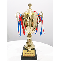 优秀团队质量奖